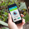 Parrot Flower Power - App-Controlled Smart Plant Monitor