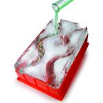 Party Ice Luge - Race Shots Down the Icy Slopes!
