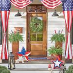 Patriotic Fireworks Plant Stakes