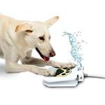 Paw-Activated Dog Water Fountain