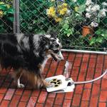 Paw-Activated Dog Water Fountain