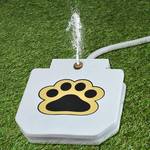 Paw-Activated Dog Water Fountain