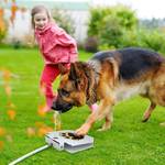 Paw-Activated Dog Water Fountain