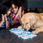 PawkieTalkie - Recordable Talking Buttons For Pets