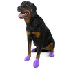 Pawz Natural Rubber Dog Boots