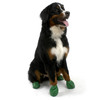 Pawz Natural Rubber Dog Boots