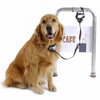 PAWZ Safespot Locking Dog Leash
