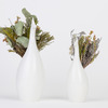 Peakco - Peacock Flower Vase