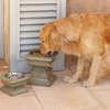 Pedestal Pet Bowls