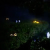 Peep n' Peepers - Spooky Illuminated Eyes to Hide in the Bushes
