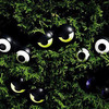 Peep n' Peepers - Spooky Illuminated Eyes to Hide in the Bushes