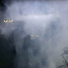 Peep n' Peepers - Spooky Illuminated Eyes to Hide in the Bushes