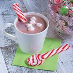 Peppermint Candy Cane Spoons