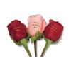 Personalized Roses - The Perfect Valentine's Day Gift