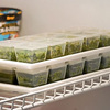 Pesto Cubes - Personal Portions of Perfect Pesto