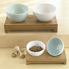 Modern Pet Bowls + Bamboo Stands