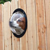 Pet Observation Porthole For Fences