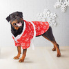 Pet Robes
