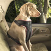 Pet Seat Belt