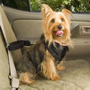 Pet Seat Belt