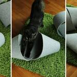 PetCozy - Versatile Wool Felt Playground For Cats