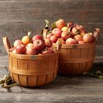 Peterboro Gathering Baskets