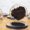 Petrified Wood Coasters