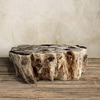 Petrified Wood Coffee Table