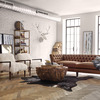 Petrified Wood Coffee Table
