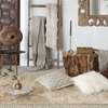 Petrified Wood Coffee Table