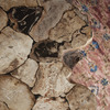 Petrified Wood Coffee Table