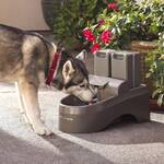 PetSafe Drinkwell Outdoor Dog Water Fountain