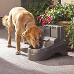 PetSafe Drinkwell Outdoor Dog Water Fountain