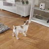 Petzi Treat Cam - Wi-Fi Pet Camera and Treat Dispenser