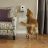 Petzi Treat Cam - Wi-Fi Pet Camera and Treat Dispenser