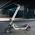 Phantom All-Terrain Electric Scooter - Snow / Off-Road / Road
