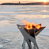 Phoenix Blossom - Sculptural Stainless Steel Fire Pit