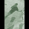 Photograph To Digital Picture Converter