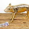 Pig Bank - Piggy Bank in the Form of an Actual Pig