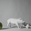 Pig Bank - Piggy Bank in the Form of an Actual Pig