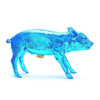 Pig Bank - Piggy Bank in the Form of an Actual Pig