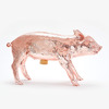 Pig Bank - Piggy Bank in the Form of an Actual Pig