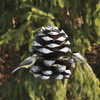 Pine Cone Bird Feeder