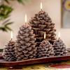 Pine Cone Candles