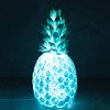Pineapple Light