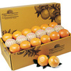 Pittman and Davis - Gourmet Fruit Gift Baskets Catalog