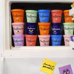 Van Leeuwen Pizza Ice Cream