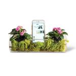 Plant AMP - Smartphone Speaker Amplifier / Glass Planter
