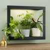 Plant Grow Light Picture Frame Shelf