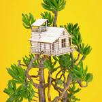 Plant Houses - Miniature Houseplant Treehouses